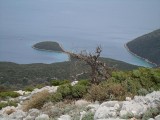33. pogled